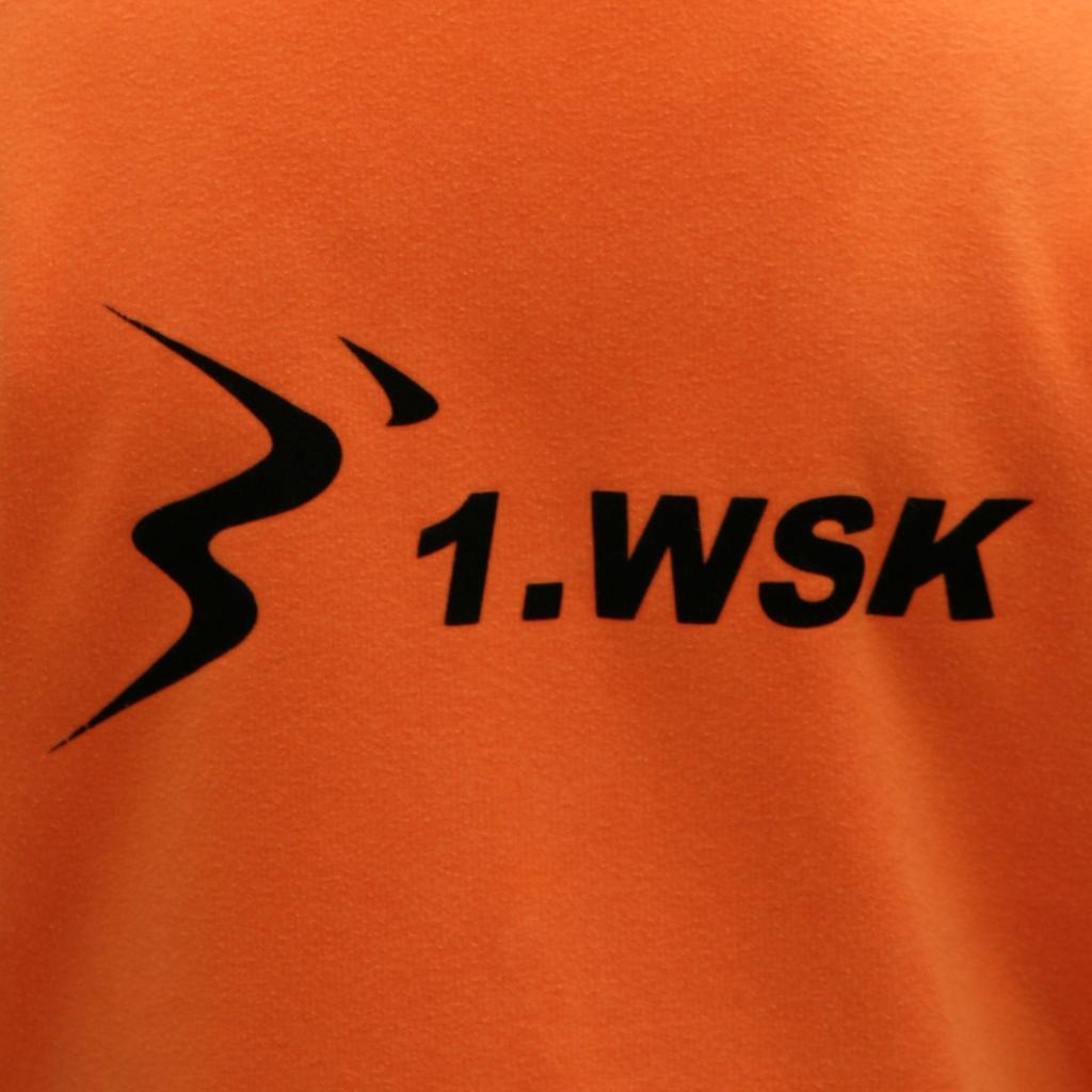 Logo 1. WSK